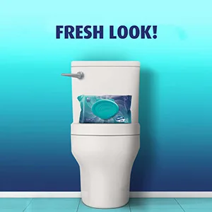 Charmin Flushable Wipes, 4 packs, 40 Wipes Per Pack, 160 Total Wipes 40 Count (Pack of 4) - Fresh Look
