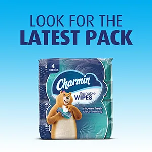 Charmin Flushable Wipes, 4 packs, 40 Wipes Per Pack, 160 Total Wipes 40 Count (Pack of 4) - Latest Pack