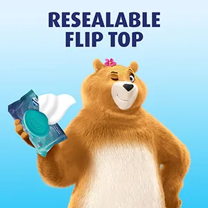 Charmin Flushable Wipes, 4 packs, 40 Wipes Per Pack, 160 Total Wipes 40 Count (Pack of 4) - Resealable Flip Top