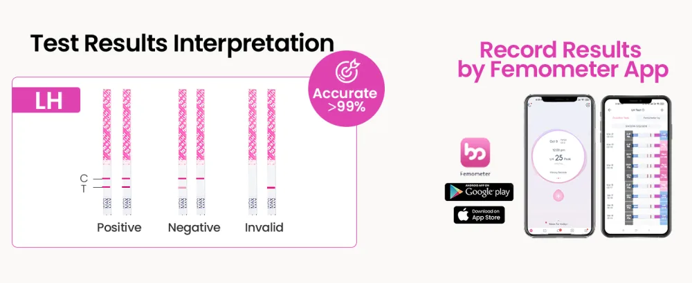 Femometer Ovulation Test Strips, 50 LH Strips for Women Over 99% Accurate & Easy to Use - product information 12