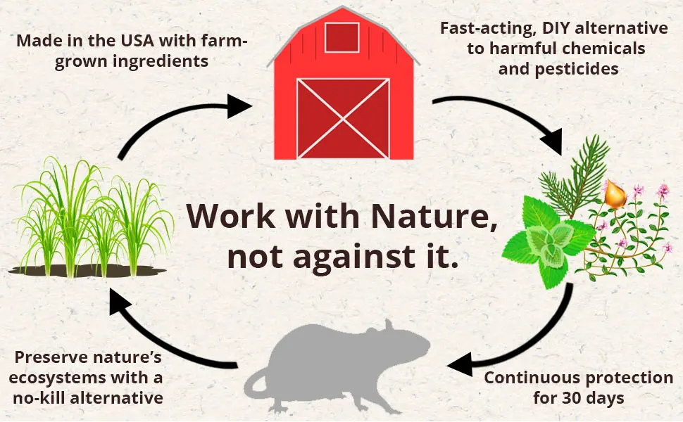 Fresh Cab Botanical Rodent Repellent - Environmentally Friendly, Keeps Mice Out, 4 Scent Pouches - Zero Waste