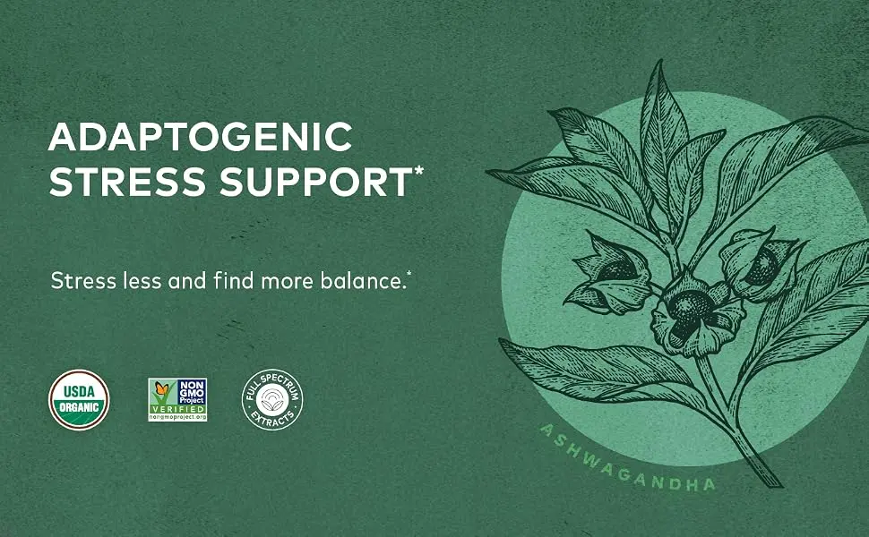 Gaia Herbs Organic Ashwagandha Gummies, Stress Support, Cinnamon, Ginger, Gluten Free, Vegan, 45 Count 45 Count (Pack of 1) - product information 3