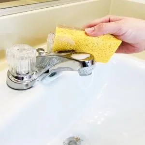 Natural Sponge 10 Pack - Eco Friendly Kitchen Sponge for Sustainable Living | Biodegradable Plant Based Cleaning Dish Sponge - natural sponge