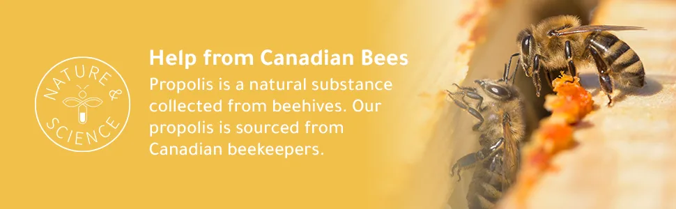 Herstat Plus + Cold Sore Treatment - Comes with Free Lip Care Stick - Help from Canadian Bees