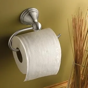 Moen DN8408BN Preston Collection Single Post Toilet Paper Holder, Spot Resist Brushed Nickel,2-3/8" W 6-1/2" D - Open-Arm Design for Easy Paper Changing