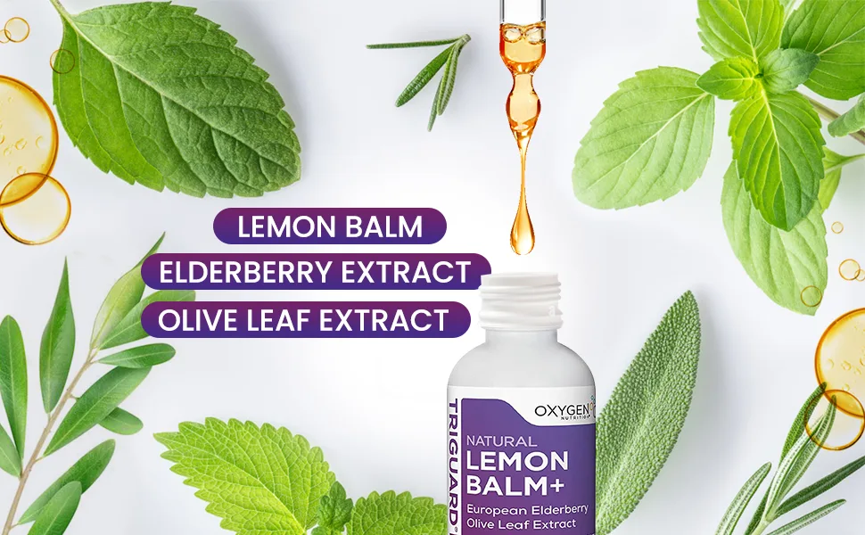 TriGuard Lemon Balm Plus - Lemon Balm Extract, Elderberry, Olive Leaf Extract Tincture 2 fl oz | For Calming, Stress Relief, Immune Support and Inflammation | Alcohol-Free, Non-GMO - lemon balm elderberry extract and olive leaf extract