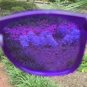 PURPLE CANYON Violet Color Therapy Mood Glasses Light Therapy Chakra Healing Glasses Chromotherapy Purple Colored Lenses - Violet