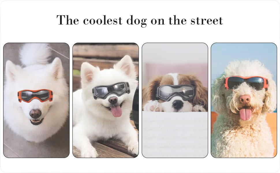 PEDOMUS Dog Goggles Small Dog Sunglasses Medium Adjustable Strap for UV Sunglasses Waterproof Protection for Small Medium Dog (Cool Black) - cuty