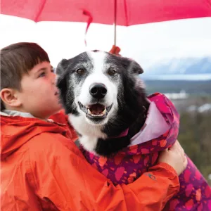 RC Pet Products Packable Dog Rain Poncho, Rubber Ducky, Small Small Rubber Ducky 1 - Packable Rain Poncho Lifestyle 3
