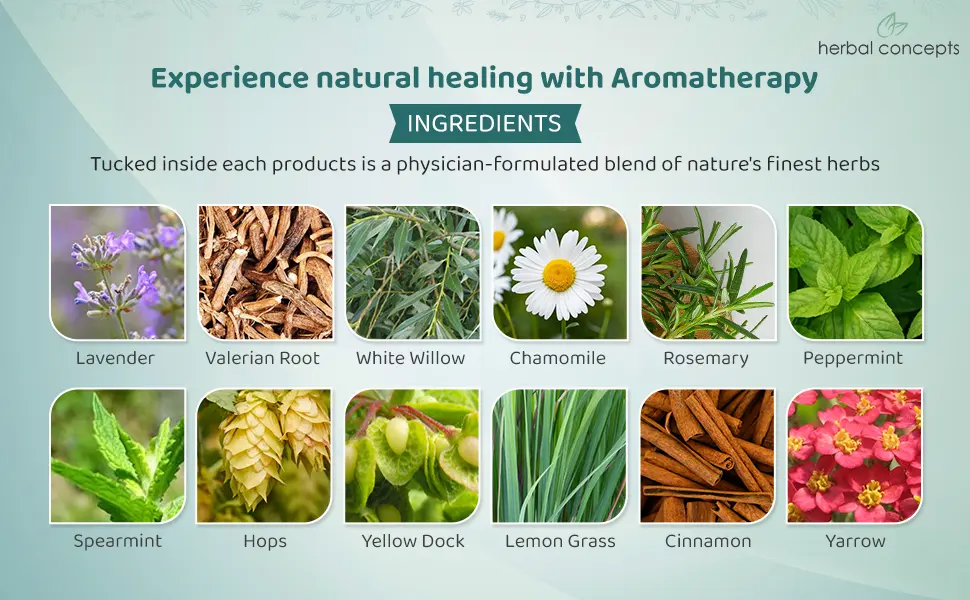 Herbal Concepts Aromatherapy Rectangular Shaped Microwaveable Wrap Made of Organic Flaxseed, Yarrow, & Hops for Eye | Eye Pack Relieves Sinus & Headache | Available in Berry Fields Berry Fields Scented - Lavender,Valerian Root,White Willow,Chamomile,Rosemary,Peppermint,Spearmint,Hops,Yellow Dock