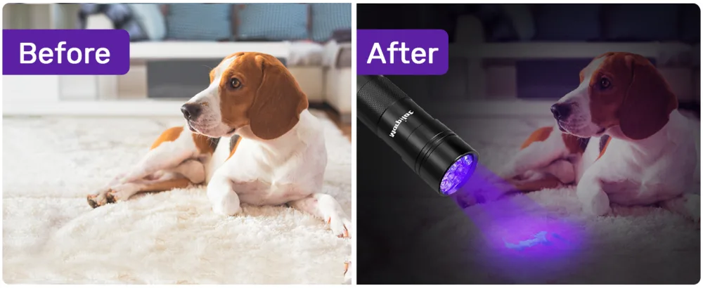morpilot Blacklight Flashlights uv Flashlight: 12 Led 395nm 2 Pcs Black Light Flashlight Mini, Pet Urine Detector Light for Dog/Cat, Dry Stains, Resin Curing, Bed Bug 2 pack - product information 8