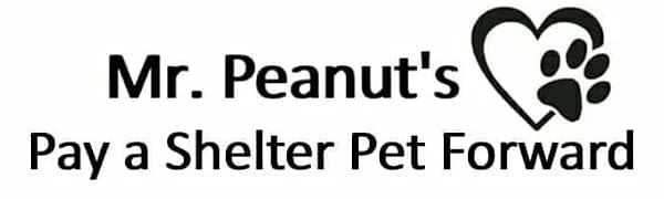 Mr. Peanut's Collapsible Silicone Camping Bowl with Lid & Foldable Fork - product information 1