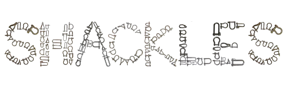 5 Pieces Stainless Steel 316 D Shackle 5/32" (4mm) Marine Grade Dee 5 Pieces 5/32" 4mm D Shackles - Shackles spelled using various shackles
