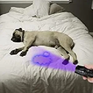 Black Light ,Flashlight, LED UV Torch 2 in 1 Blacklight with 500LM Highlight, 4 Mode, Waterproof for Pet Clothing Food Fungus Detection/Night Fishing/Travel - flashlight1
