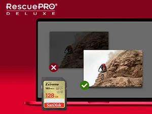 SanDisk 128GB Extreme SDXC UHS-I Memory Card - C10, U3, V30, 4K, UHD, SD Card - SDSDXVA-128G-GNCIN 128GB Memory Card Only - Image Recovery