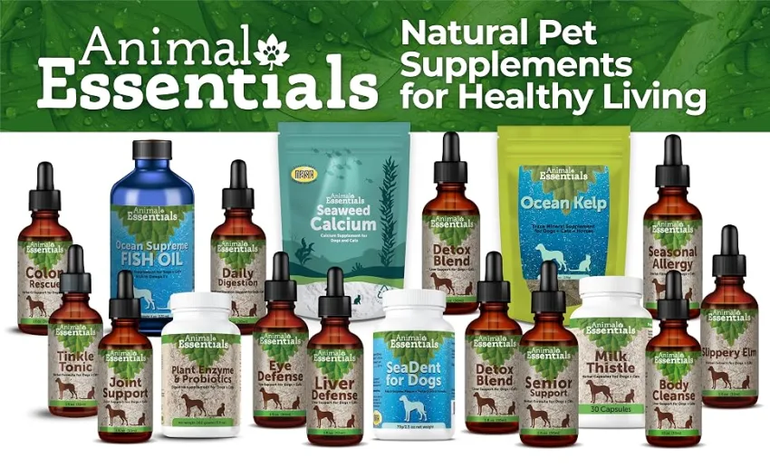 Animal Essentials Echinacea Goldeanseal, 1oz (30ml) - Certified Organic USAA, Supports Immune System 1 fl Oz (30ml) - dog cats supplements vitamins