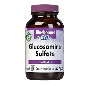 BlueBonnet Vegetarian Glucosamine Plus MSM Supplement, 60 Count (743715011137) 60 Count (Pack of 1) - Glucosamine Sulfate