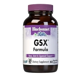 BlueBonnet Vegetarian Glucosamine Plus MSM Supplement, 60 Count (743715011137) 60 Count (Pack of 1) - GSX Formula