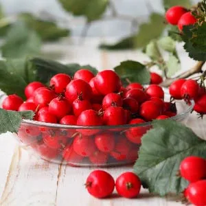 Carlyle Hawthorn Berry Capsules | 1695mg | 250 Capsules | Vegetarian, Non-GMO, Gluten Free Extract - Berries