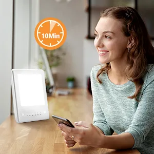 Light Therapy Lamp, UV-Free 10000 Lux Bright White LED Therapy Light, Touch Control with 3 Adjustable Brightness Levels & 6 Timer Settings, Memory Function & Compact Size for Home Office Travelling - product information 8