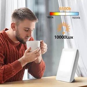 Light Therapy Lamp, UV-Free 10000 Lux Bright White LED Therapy Light, Touch Control with 3 Adjustable Brightness Levels & 6 Timer Settings, Memory Function & Compact Size for Home Office Travelling - product information 9