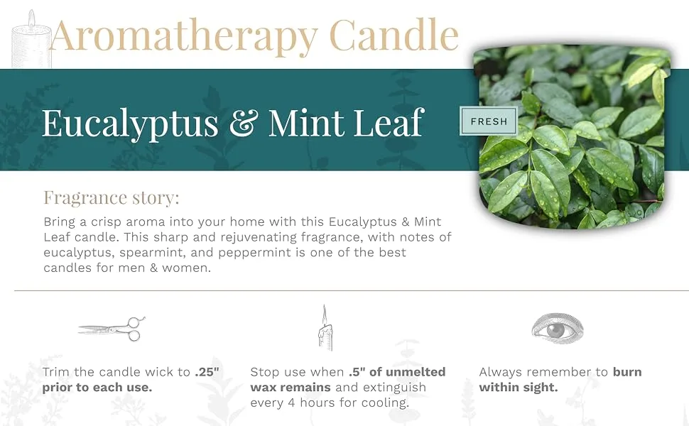 Essential Elements by Candle-lite Scented Candles, Eucalyptus & Mint Leaf Fragrance, One 14.75 oz. Three-Wick Aromatherapy Candle with 45 Hours of Burn Time, Off-White Color Eucalyptus & Mint 14.75 oz - eucalyptus & leaf
