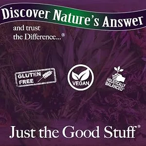 Nature's Answer Bilberry Standardized Capsules 90 Count | Eye & Vision Support | Promotes Circulation - Bilberry extract Magnesium Stearate Free Promotes healthy eye function