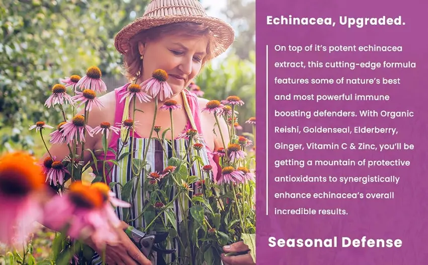 Echinacea Goldenseal 1000mg with Elderberry, Vitamin C, Zinc & Ginger | Immune Boost Vegan Echinacea Capsules with Goldenseal Root & BioPerine for Absorption | Premium Echinacea Root Supplement - echinacea extract pills