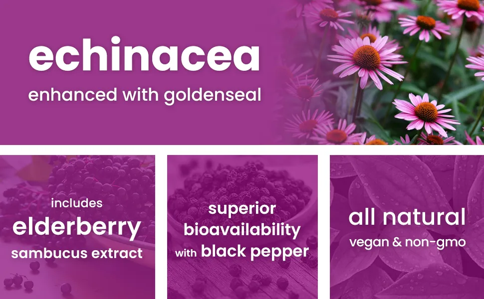 Echinacea Goldenseal 1000mg with Elderberry, Vitamin C, Zinc & Ginger | Immune Boost Vegan Echinacea Capsules with Goldenseal Root & BioPerine for Absorption | Premium Echinacea Root Supplement - goldenseal with echinacea