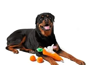 Midlee White Bunny Ears for Dogs with Tail (Small) - carrot hide a toy Easter