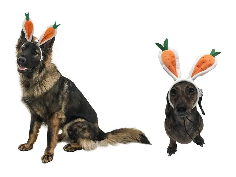Midlee Carrot Bunny Ears Easter Dog Headband Costume (Small) - carrot bunny ears headband Easter