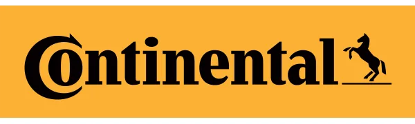 Continental Conti Valve Extender (Pack of 2) 60mm Silver - B015BQDCUM