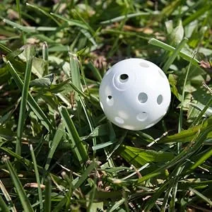 Crown Sporting Goods - 24 Polyurethane White Plastic Golf Balls  Bulk Set of Golf Balls for Swing Practice, Driving Range - IMG2