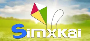 Large Airplane Kite for Adults & Kids,Easy to Assemble Simple, Easy to Fly,Boys & Girls with 300ft Kite String - simxkai logo