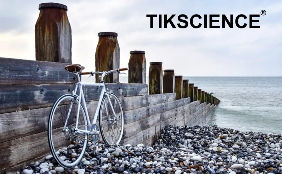 TIKSCIENCE Universal Torque Arm Conversion Kit,Fit for Electric Bicycle E-Bike Front or Rear 2 Set - Universal Torque Arm Conversion Kit