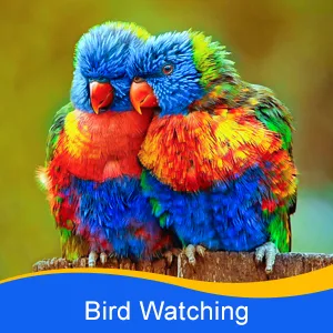 LET'S GO! Binocular for Kids, Compact High Resolution Shockproof Binoculars Yellow - bird watching