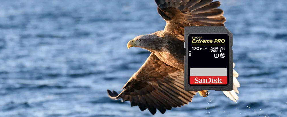SanDisk 32GB 3-Pack Ultra SDHC UHS-I Memory Card (3x32GB) - SDSDUN4-032G-GN6IM Memory Card Only 1 Count (Pack of 3) - Upsell 2