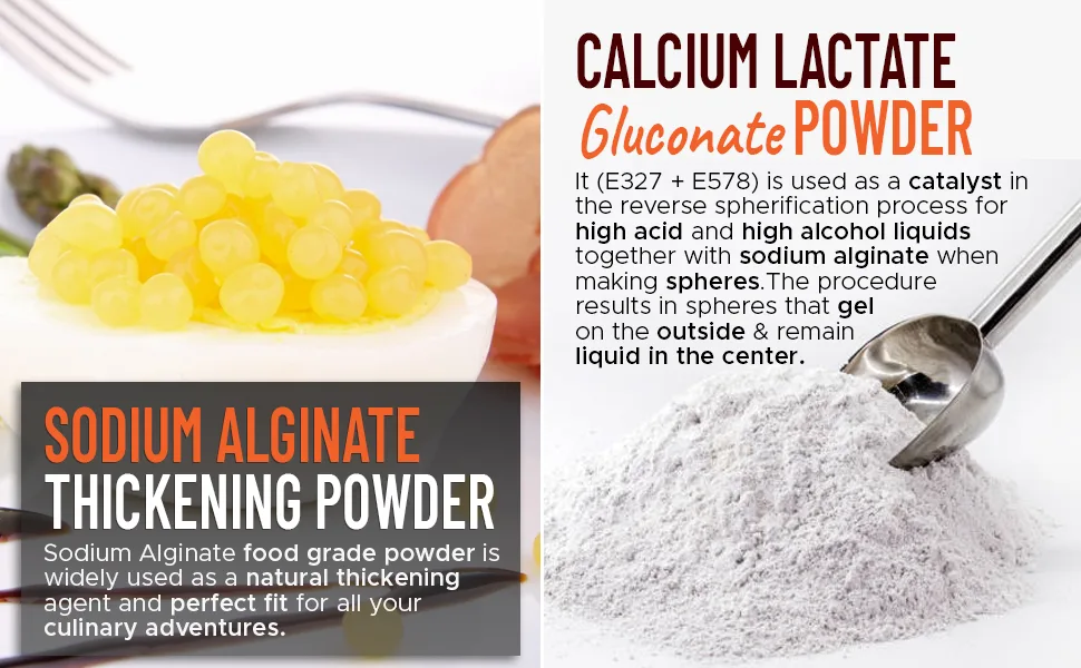 Reverse Spherification Value Kit  4-oz. Sodium Alginate Combined with Calcium Lactate Gluconate - Calcium Lactate Gluconate