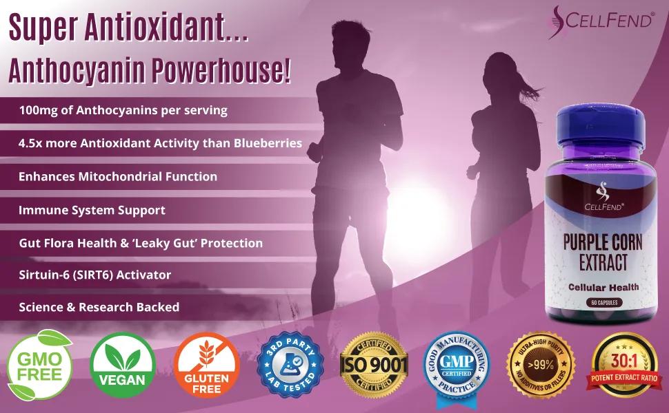 CellFend Purple Corn Extract - Super Antioxidant - Mitochondrial Support - Potent 30:1 Extract - 60 Vegan Capsules (500mg) - Purple Corn Extract, Antioxidant, Anthocyanin, Mitochondrial, SIRT6, Sirtuin, Sirtuin-6, Leaky Gut