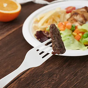 ECOLipak 150 Pcs 100% Compostable Forks, 7" Large Size Biodegradable Disposable Cutlery Forks, Heavy Duty Bio-based CPLA Forks for Party, BBQ, Picnic Forks 150-Pack - CPLA forks