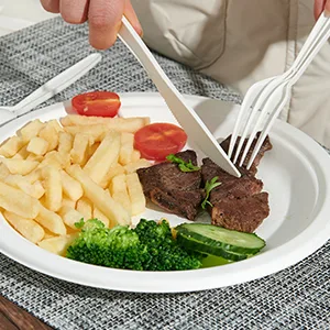 ECOLipak 100% Compostable Knives, 150 Pack Large Disposable Silverware Knives(7"), Heavy Duty Biodegradable CPLA Utensils Knives for Party, BBQ, Picnic - disposable knives
