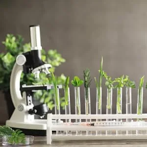Remedy's nutrition Olive Leaf (Olea Europea) 1,000mg per Capsule/60,000mg per Bottle/Vegan Caps - 3rd Party Testing