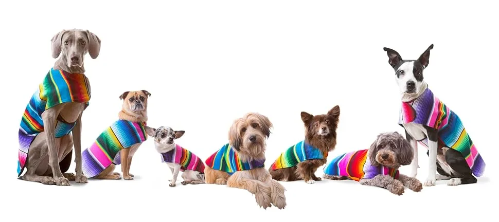 Dog Clothes - Handmade Dog Poncho from Authentic Mexican Blanket by Baja Ponchos (Blue, Small) Blue Small - product information 1