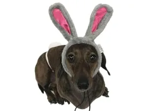 Midlee Easter Bunny Gray & Pink Rabbit Ears for Large Dogs Headband with Tail - easter bunny gray ears