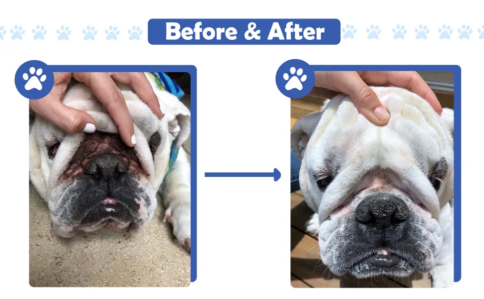Squishface Wrinkle Paste Cleans & Protects Dog Wrinkles - 2 Oz. - Squishface Wrinkle Paste