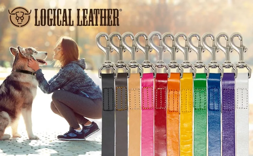 Logical Leather 4 Foot Dog Leash - Best for Training - Heavy Full Grain Leather Lead - Brown 4 Foot Brown - genuine leather dog training leashes black brown red blue green purple yellow white tan purple