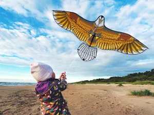 Eagle Kite for Kids Adults with 60" Wingspan - eagle kite