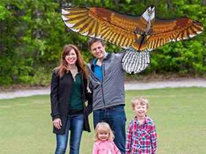 Eagle Kite for Kids Adults with 60" Wingspan - eagle kite