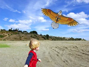 Eagle Kite for Kids Adults with 60" Wingspan - eagle kite