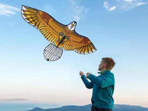 Eagle Kite for Kids Adults with 60" Wingspan - Eagle kite